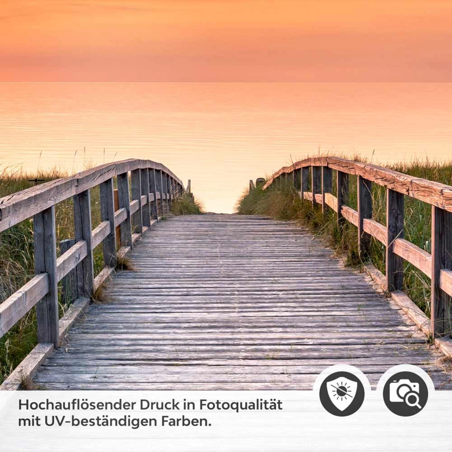 Türfolie Pfad durch die Düne Detailbild 2