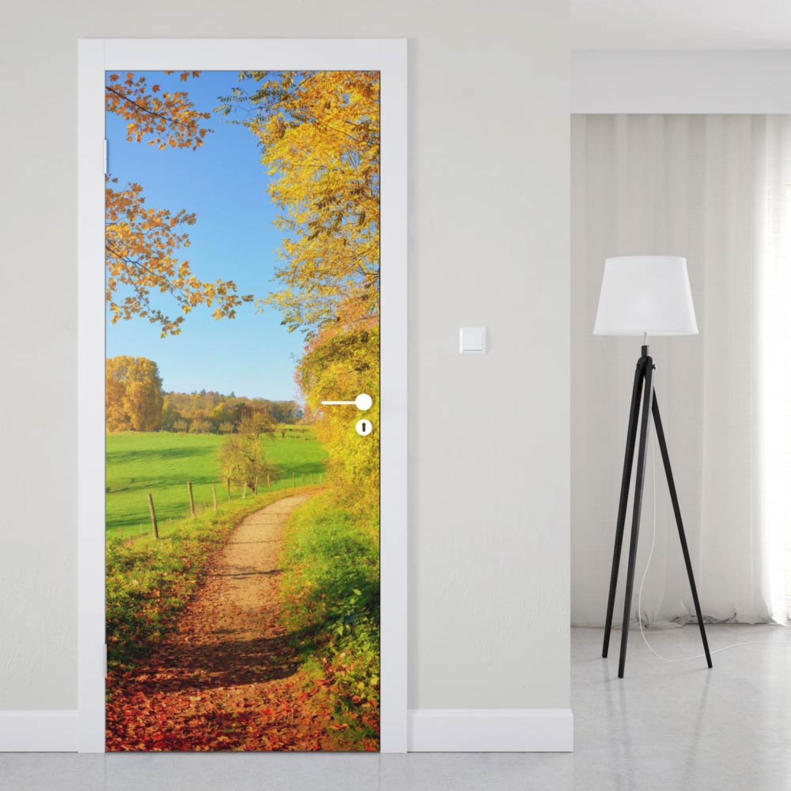 Türfolie Weg im herbstlichen Wald
