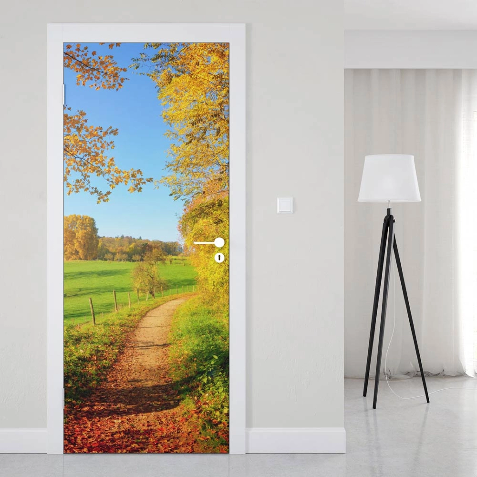Türfolie Weg im herbstlichen Wald Artikelbild 1