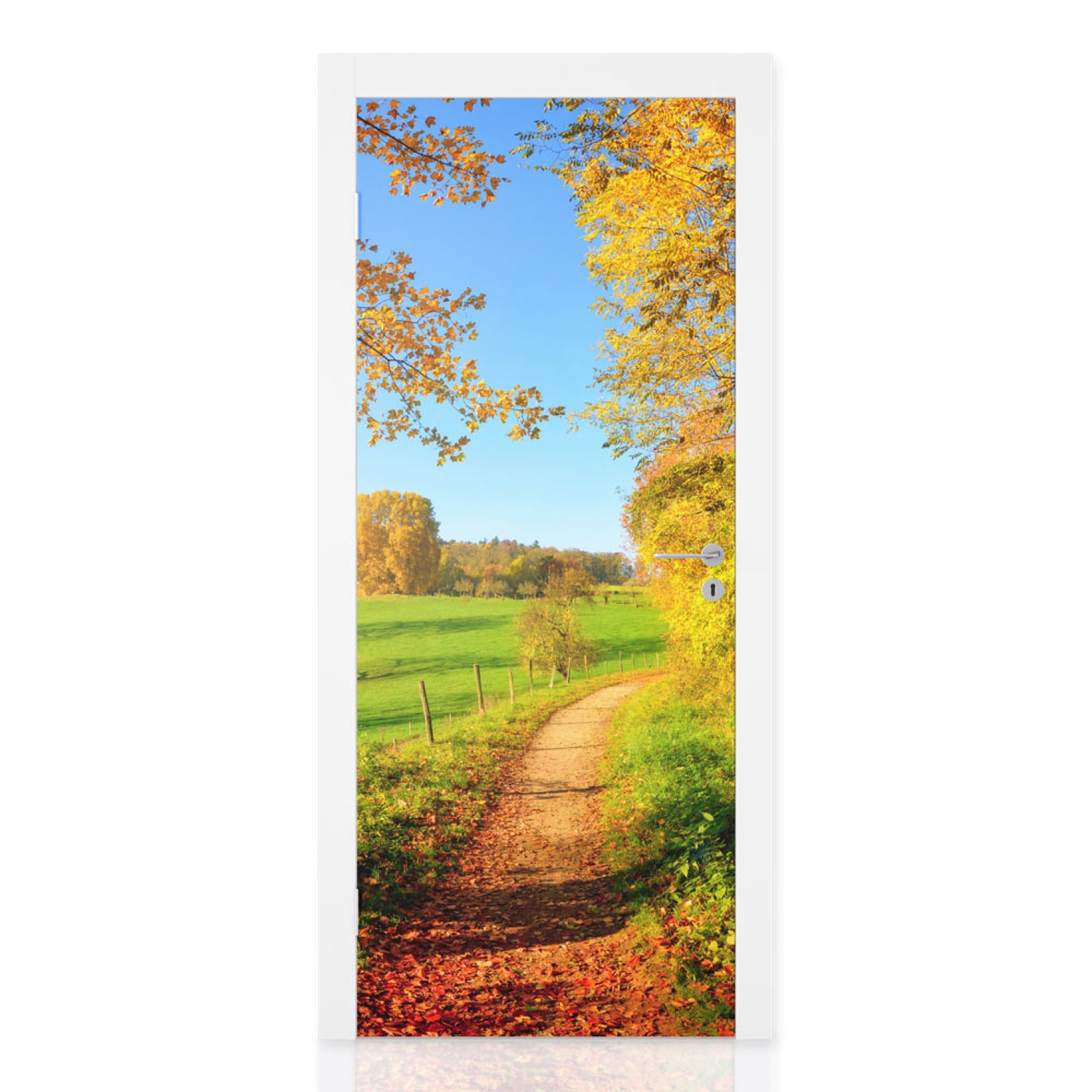 Türfolie Weg im herbstlichen Wald Hauptbild 1