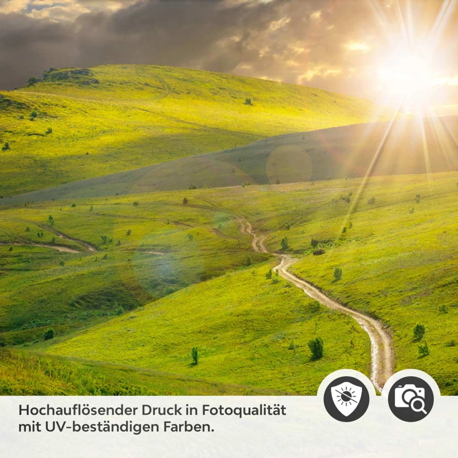 Türfolie Weg durch die Landschaft Detailbild 2