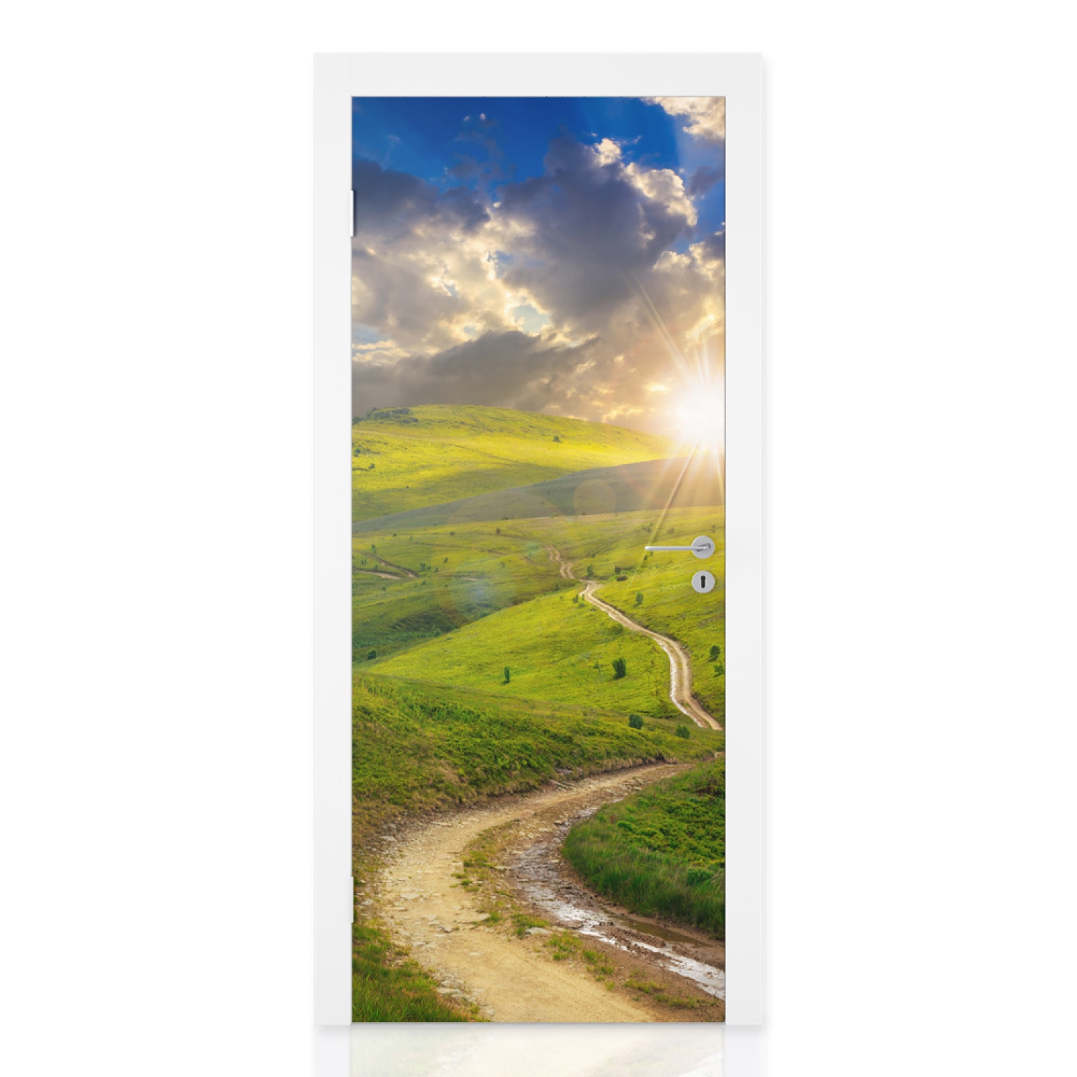 Türfolie Weg durch die Landschaft Hauptbild 1