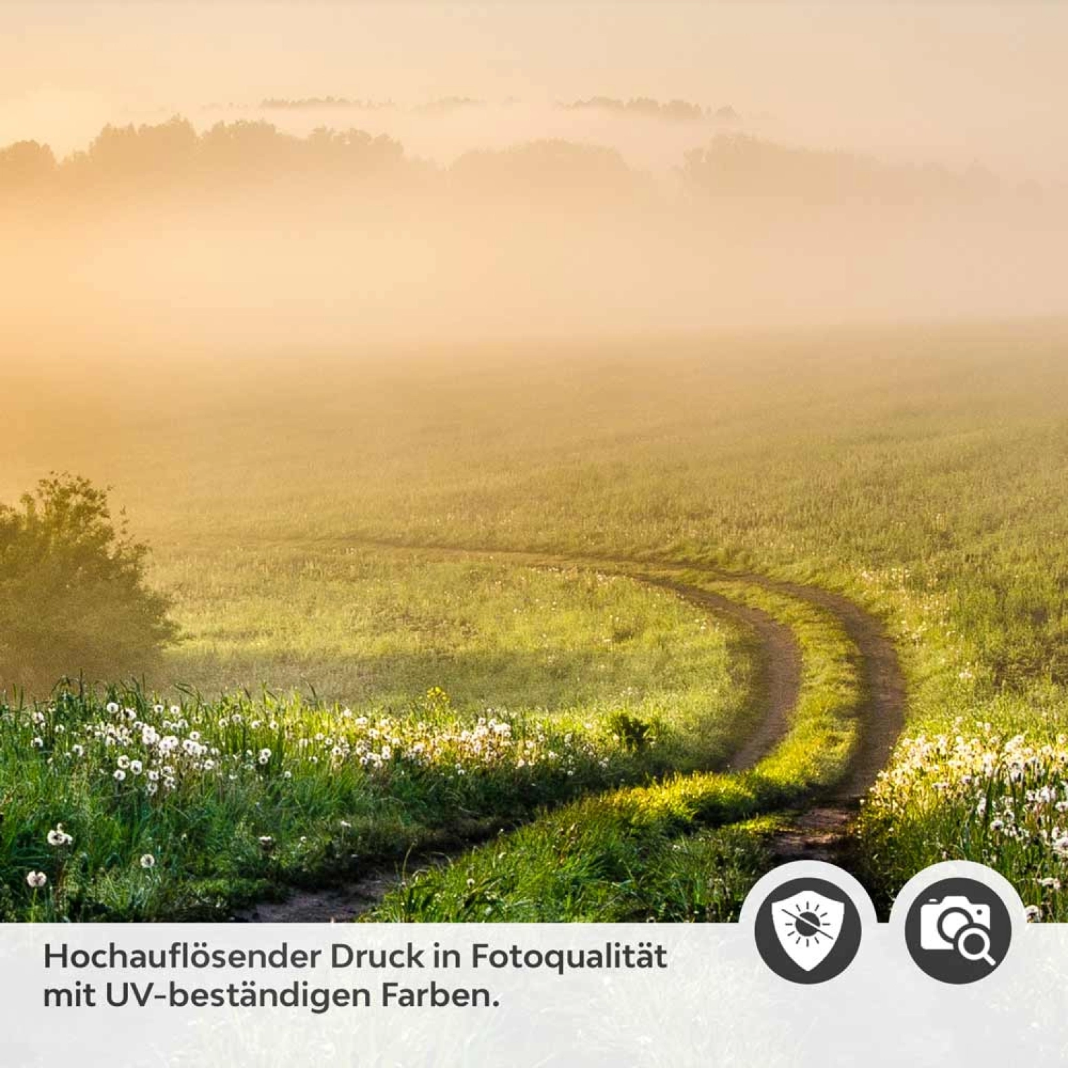 Türfolie Weg in landschaftlicher Idylle Detailbild 2