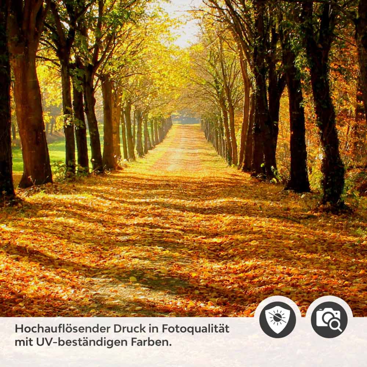 Türfolie herbstlicher Spaziergang Detailbild 2