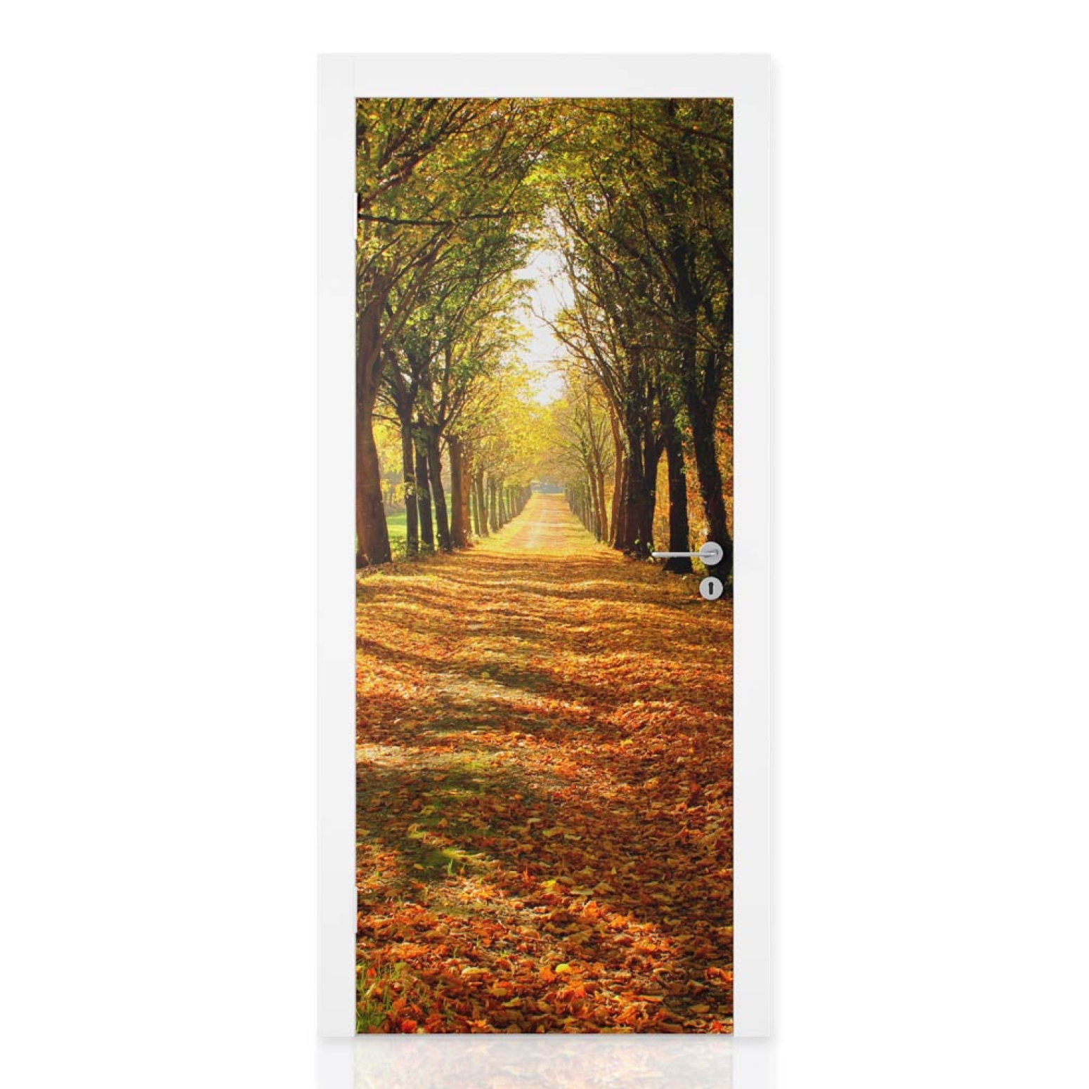 Türfolie herbstlicher Spaziergang Hauptbild 1