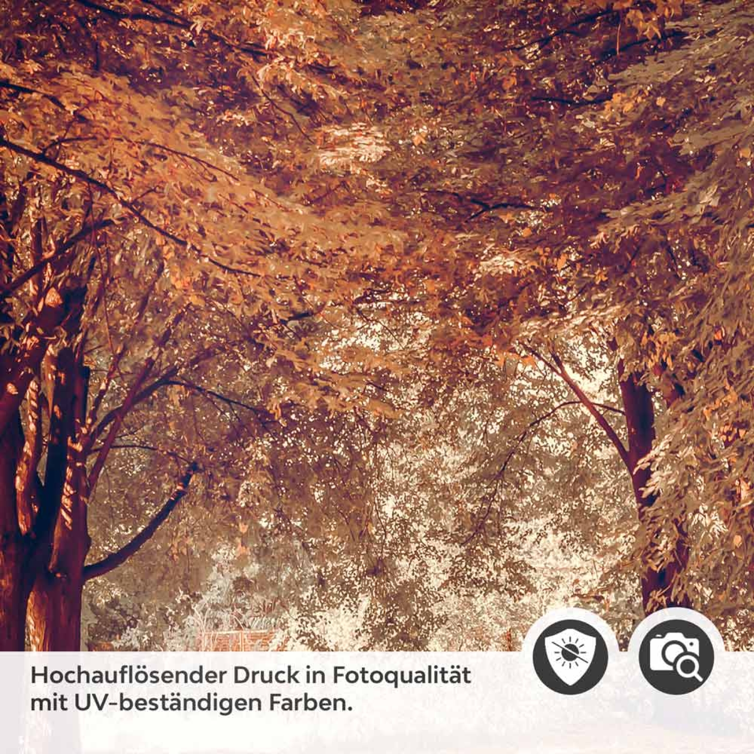 Türfolie Weg durch den Stadtpark Detailbild 2