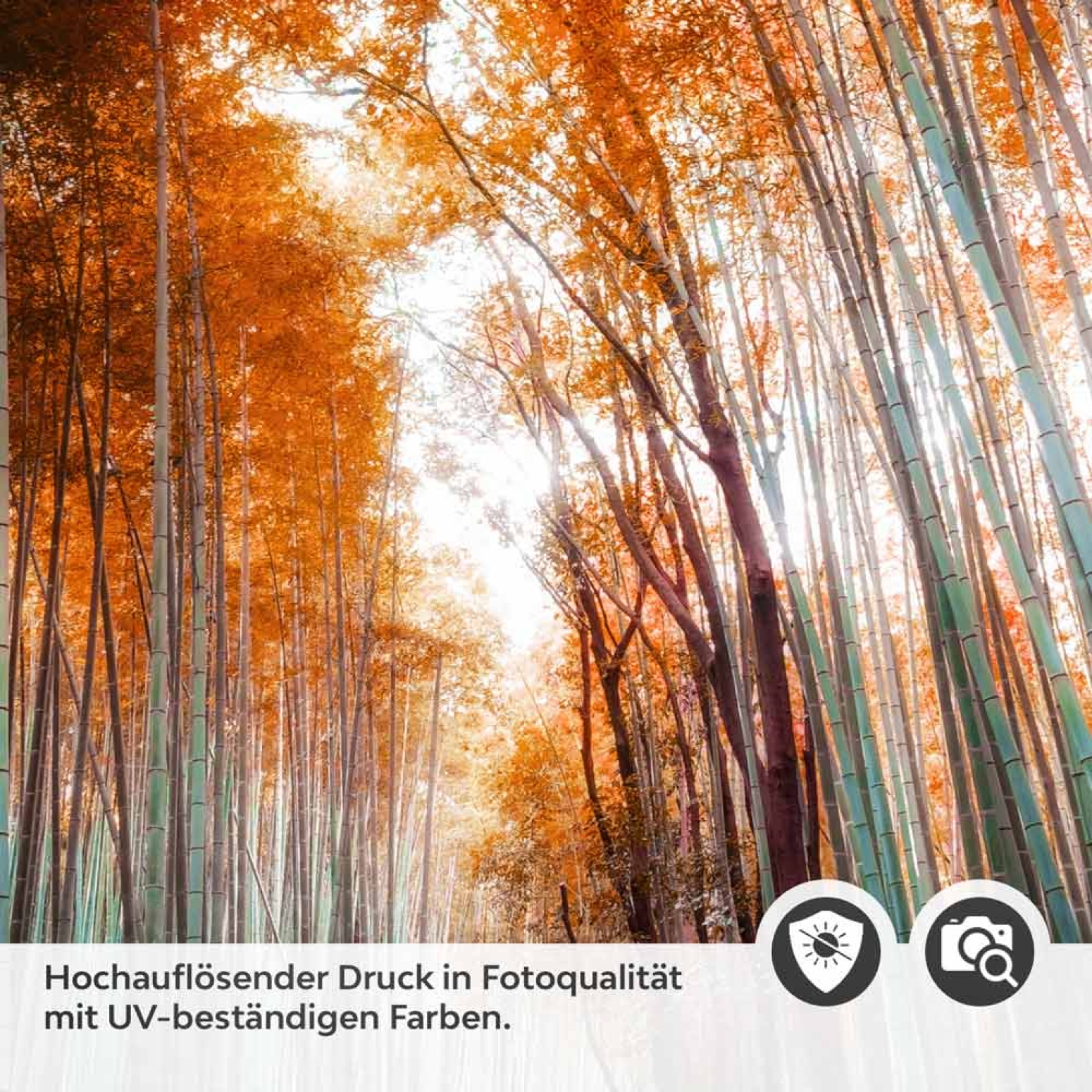 Türfolie Weg durch den Bambuswald Detailbild 2