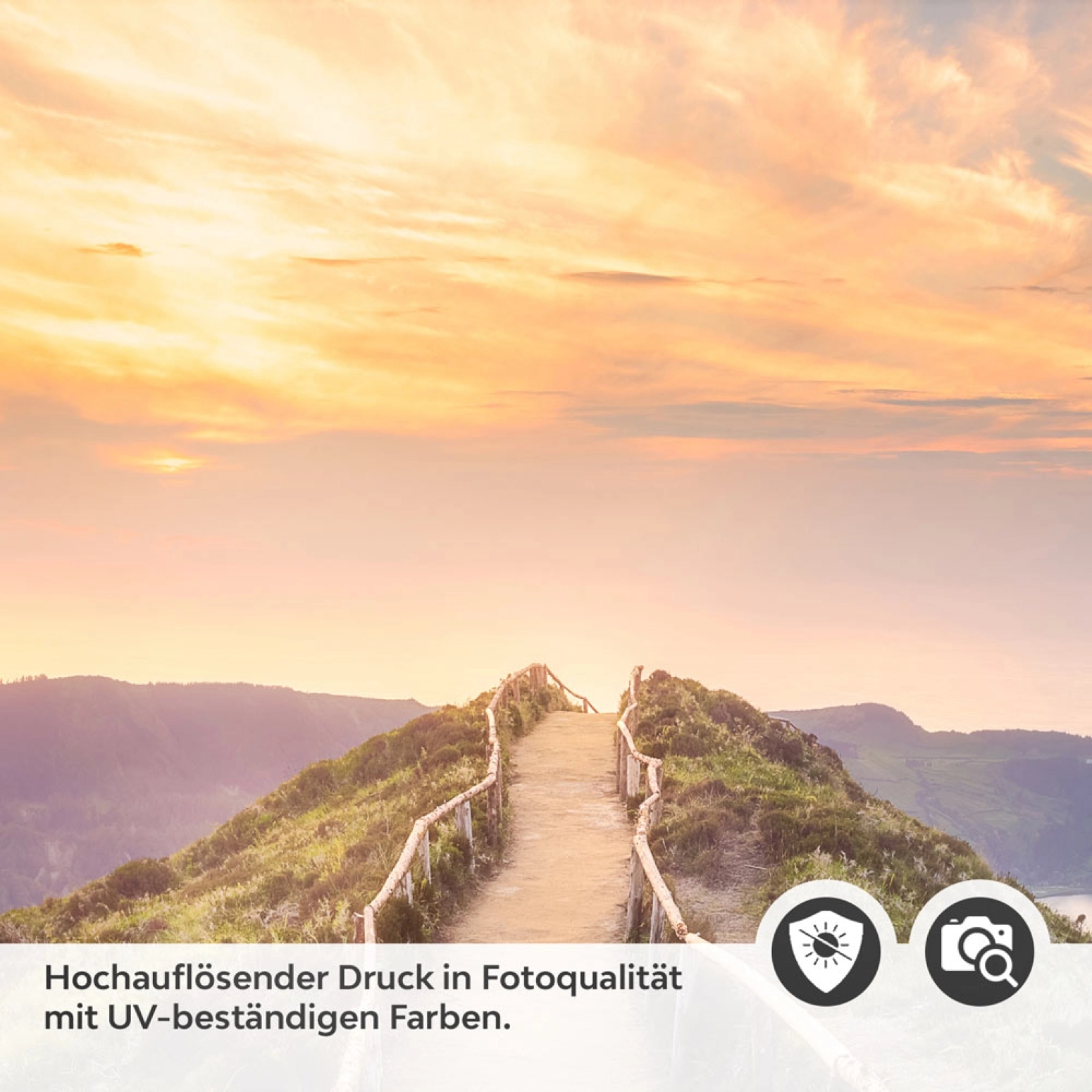 Türfolie Weg über die Hügel Detailbild 2