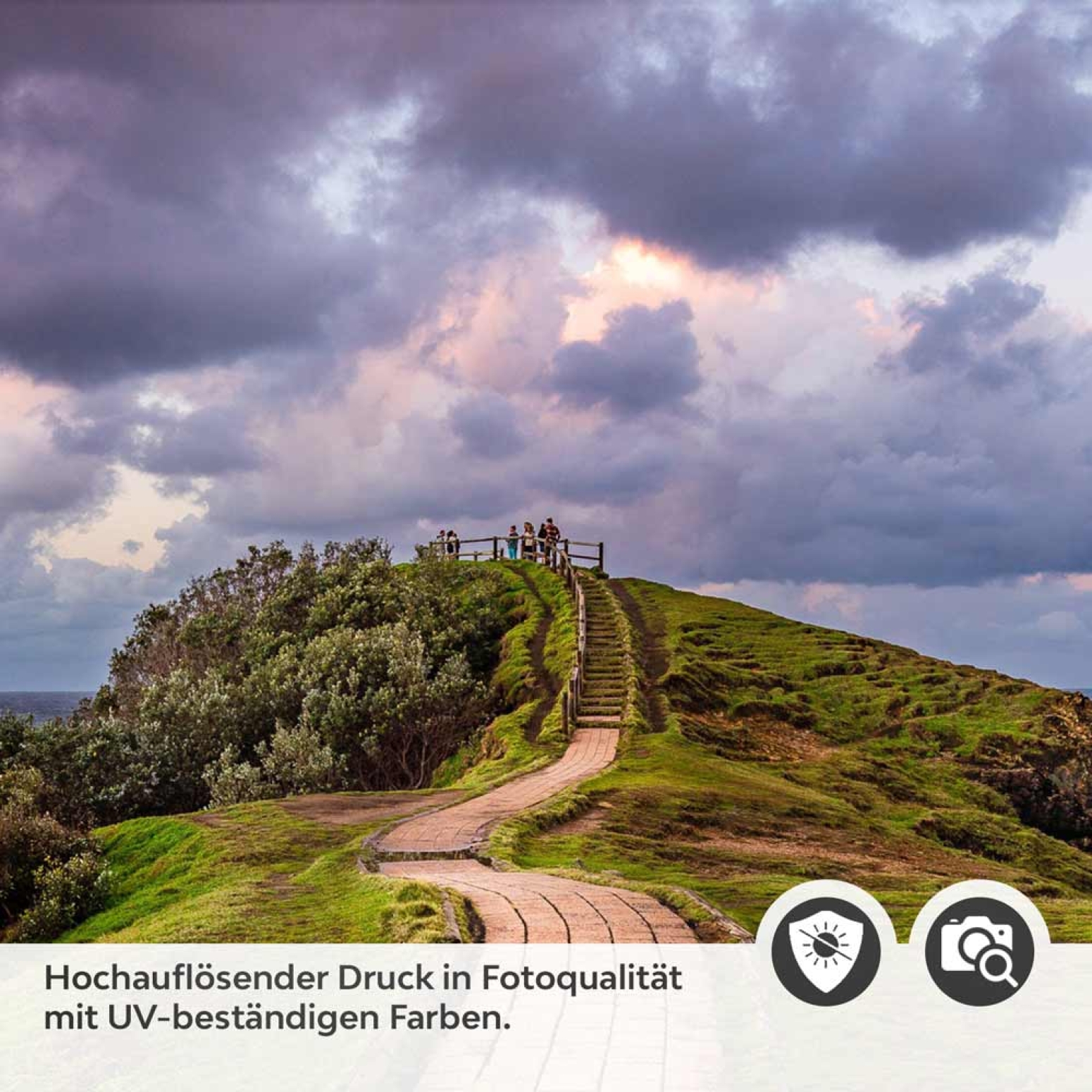 Türfolie Weg zur Aussicht Detailbild 2