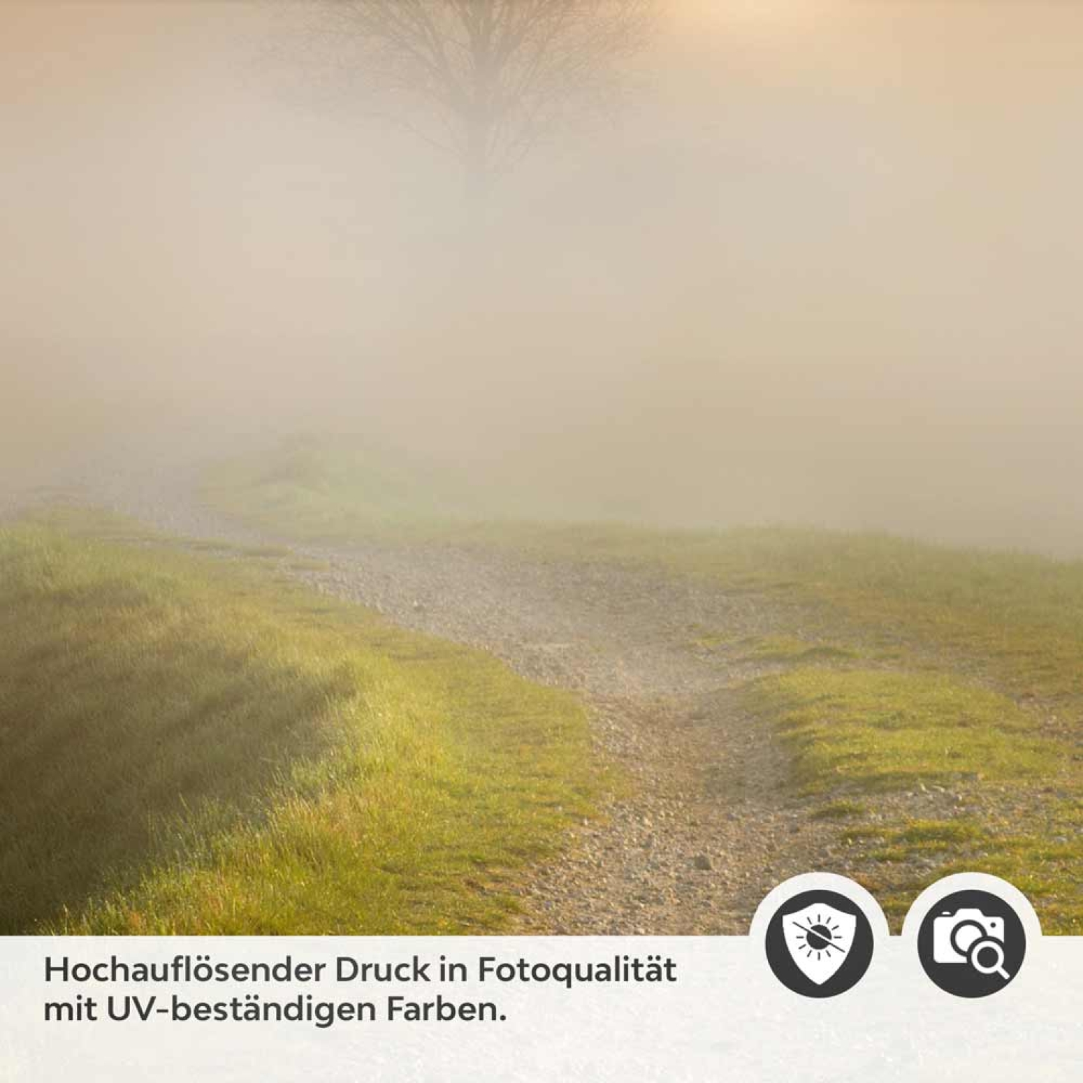 Türfolie morgentlicher Spaziergang Detailbild 2