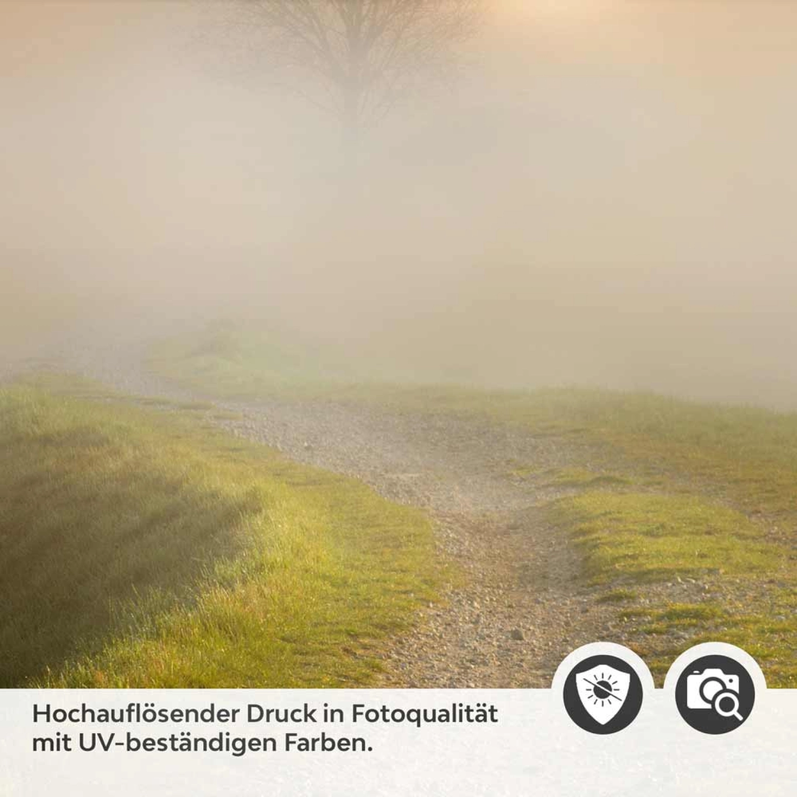 Türfolie morgentlicher Spaziergang Detailbild 2