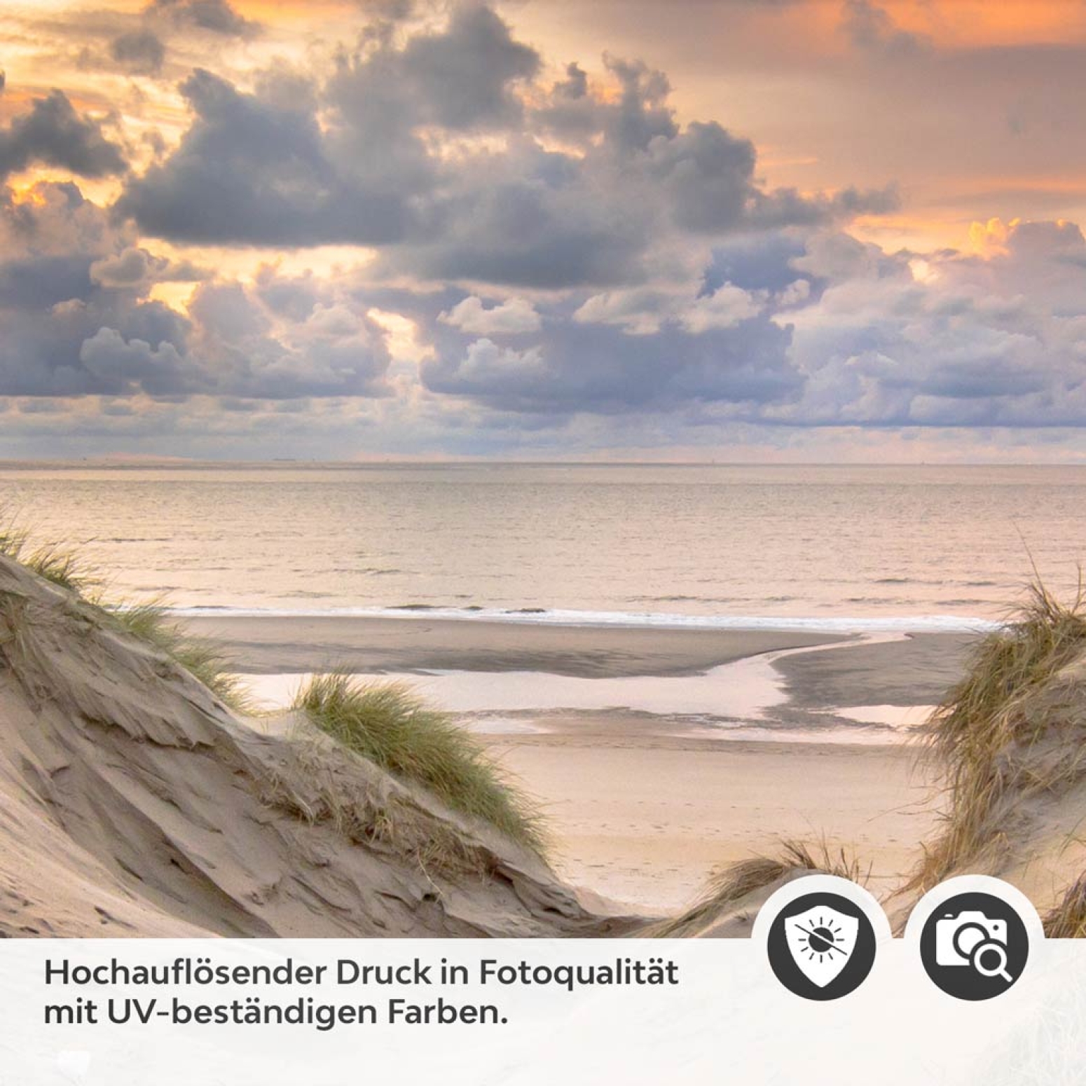 Türfolie Weg durch die Dünen Detailbild 2