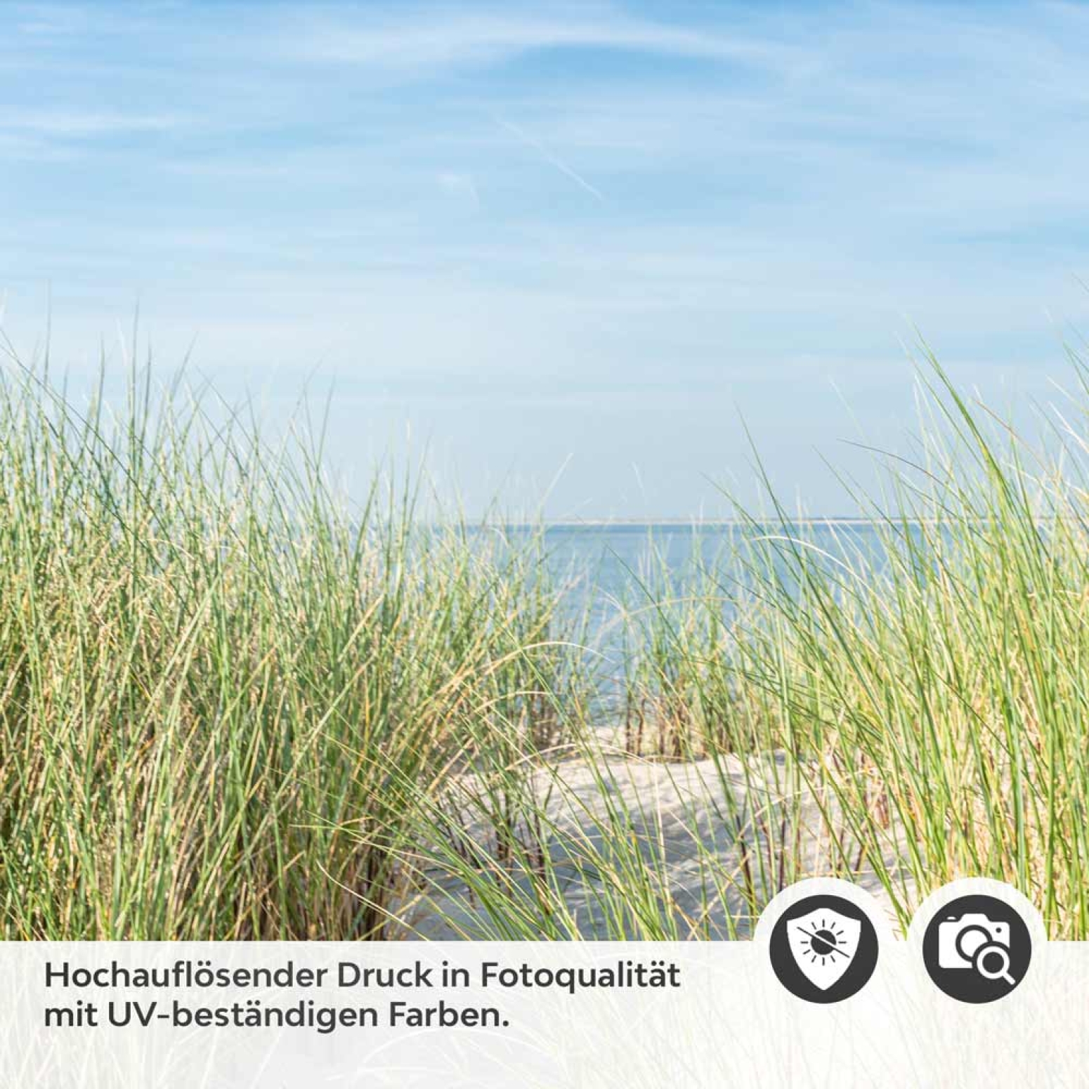 Türfolie Weg zum Strand in der Ostsee Detailbild 2