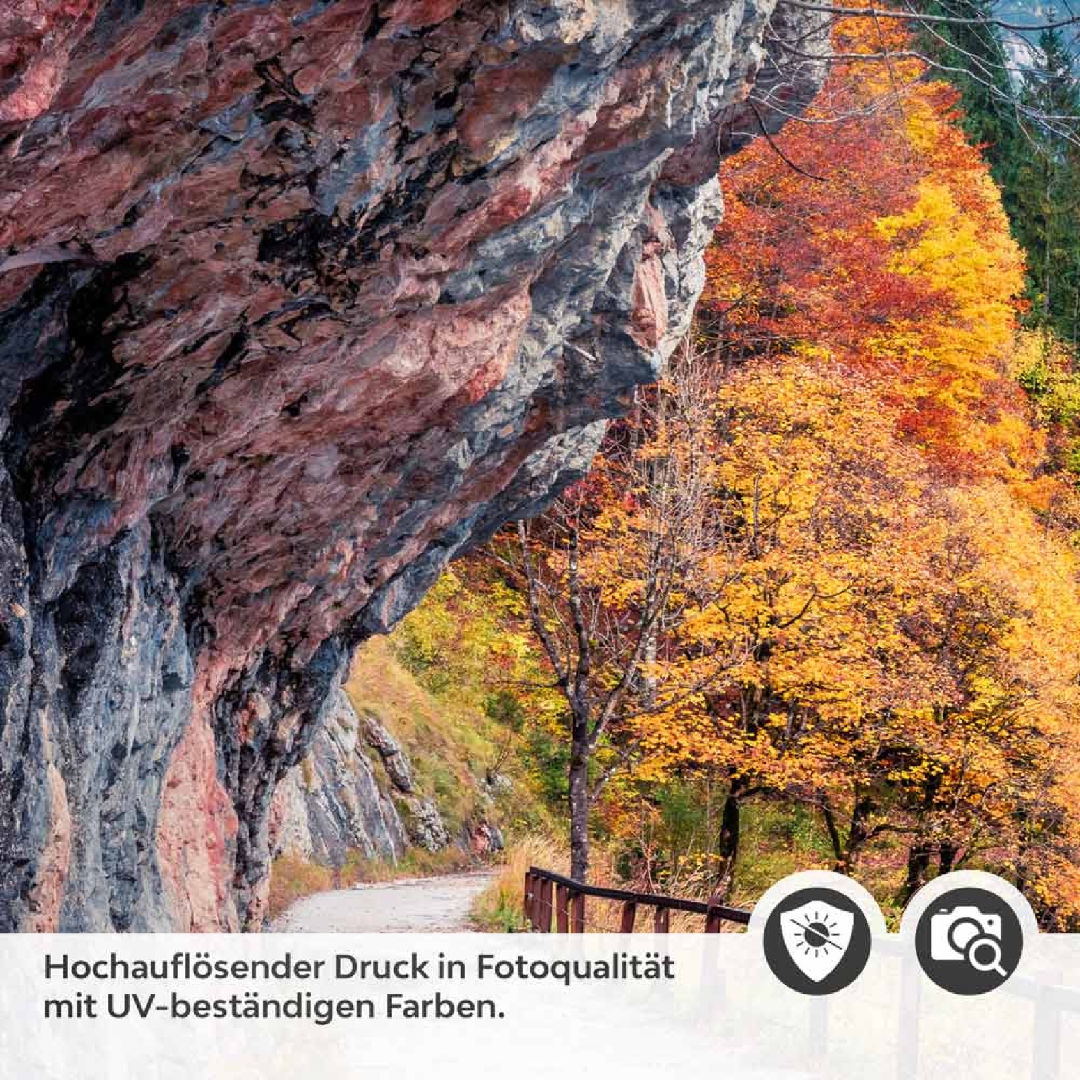 Türfolie Rundwanderung Detailbild 2