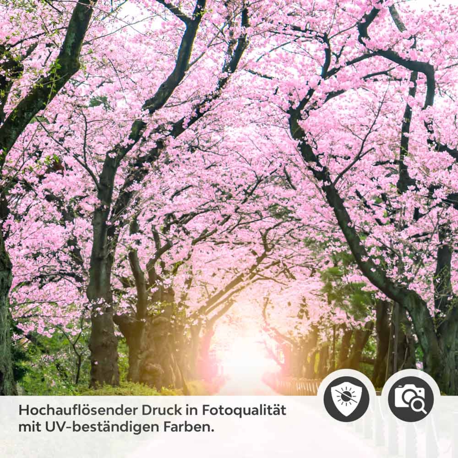 Türfolie traumhafter Weg durch dem Stadtpark Detailbild 2