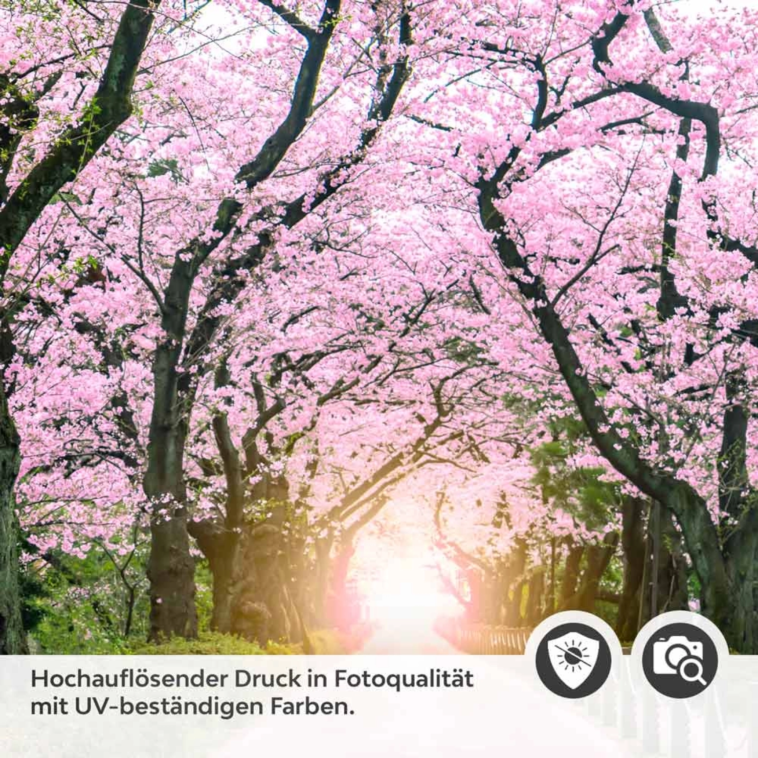 Türfolie traumhafter Weg durch dem Stadtpark Detailbild 2