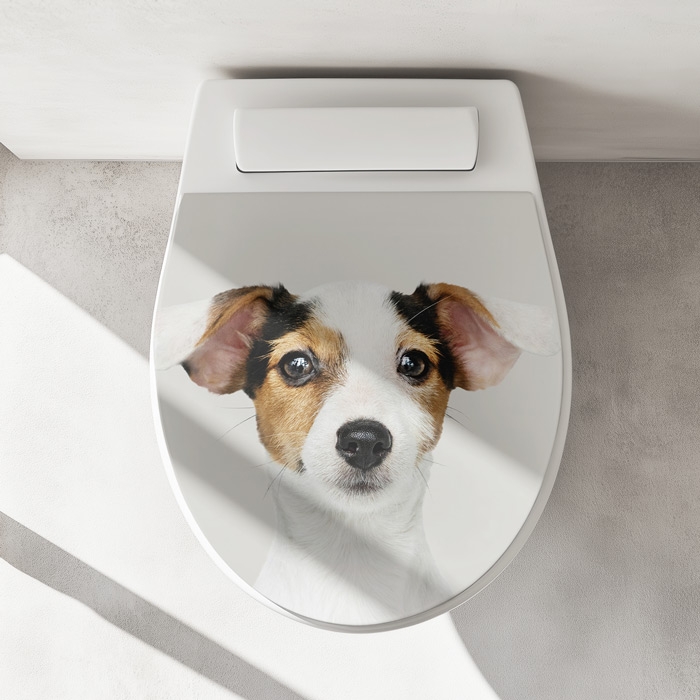 WC-Deckel Aufkleber Jack Russell Terrier Artikelbild 1