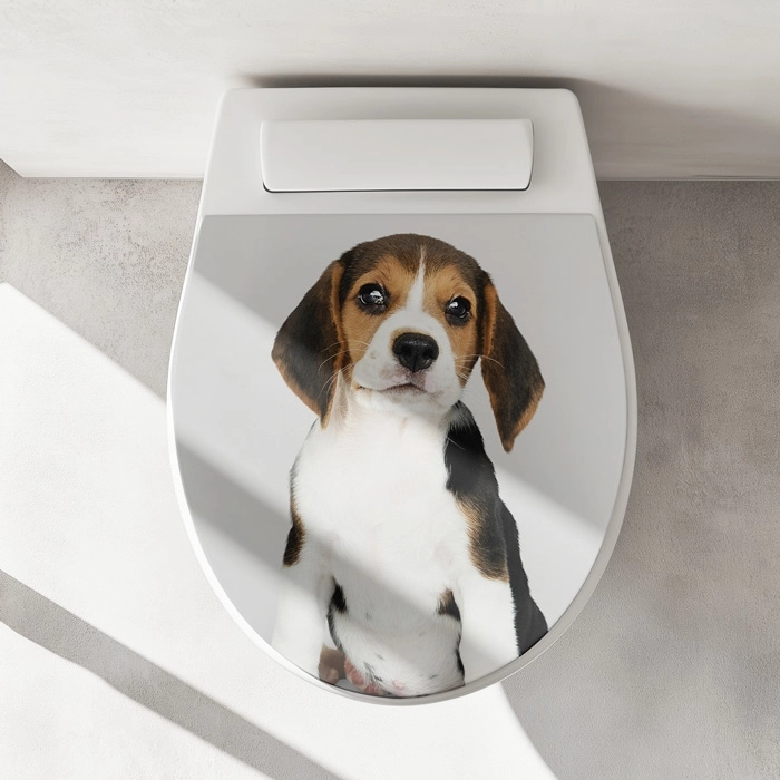 WC-Deckel Aufkleber Beagle Artikelbild 1