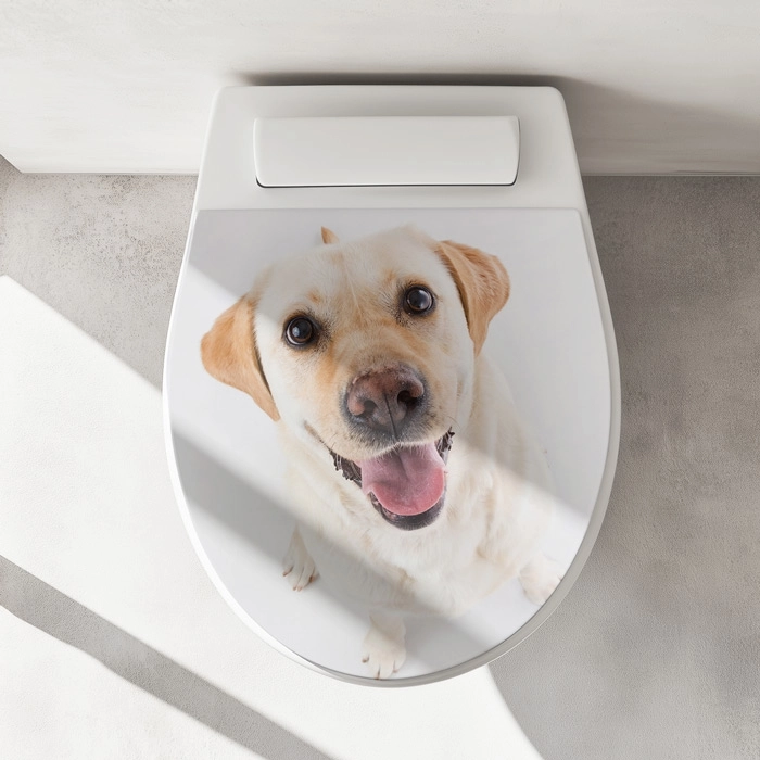 WC-Deckel Aufkleber Labrador Artikelbild 1