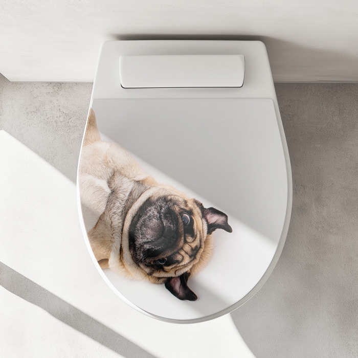WC-Deckel Aufkleber Mops Artikelbild 1