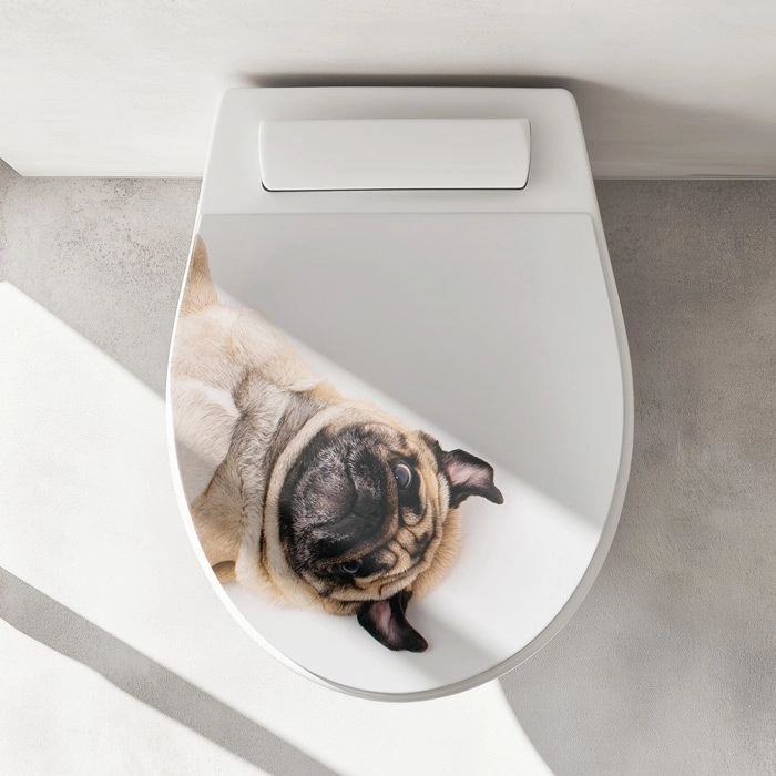WC-Deckel Aufkleber Mops Artikelbild 1