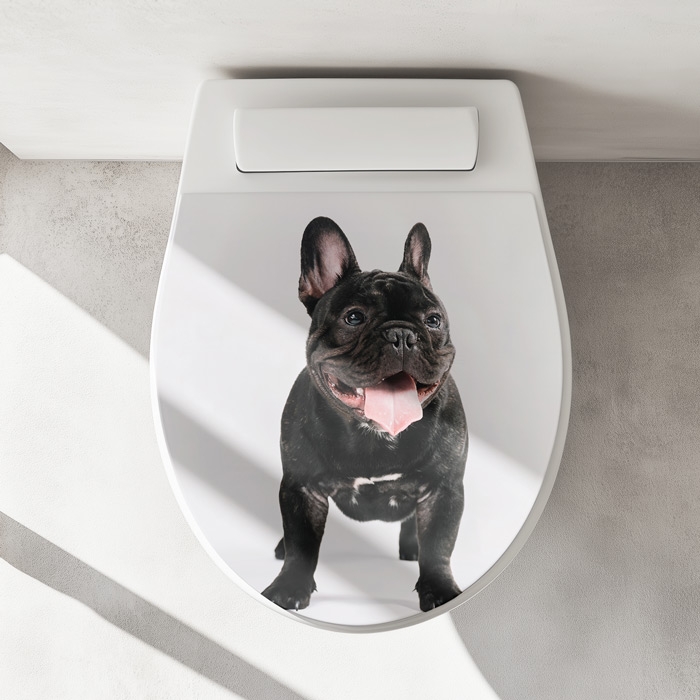 WC-Deckel Aufkleber Französische Bulldogge Artikelbild 1
