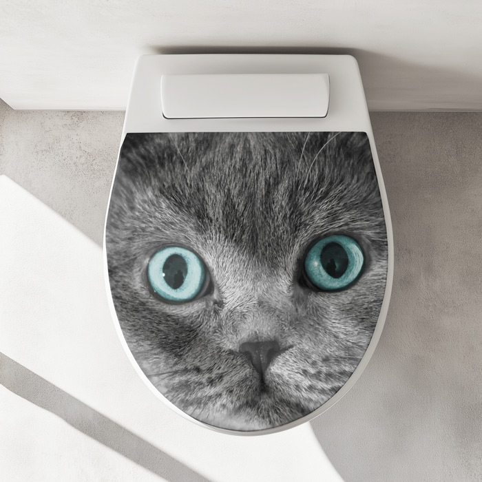 WC-Deckel Aufkleber graue Katze mit blauen Augen Artikelbild 1
