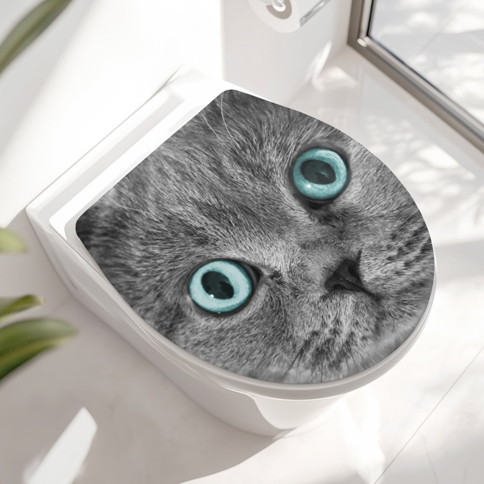 Wc-Deckel Aufkleber graue Katze mit blauen Augen