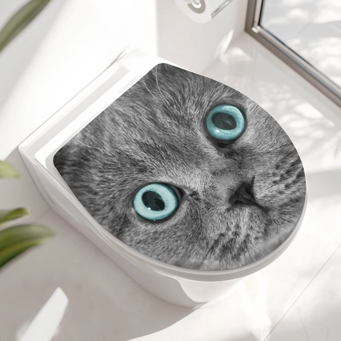 Wc-Deckel Aufkleber graue Katze mit blauen Augen