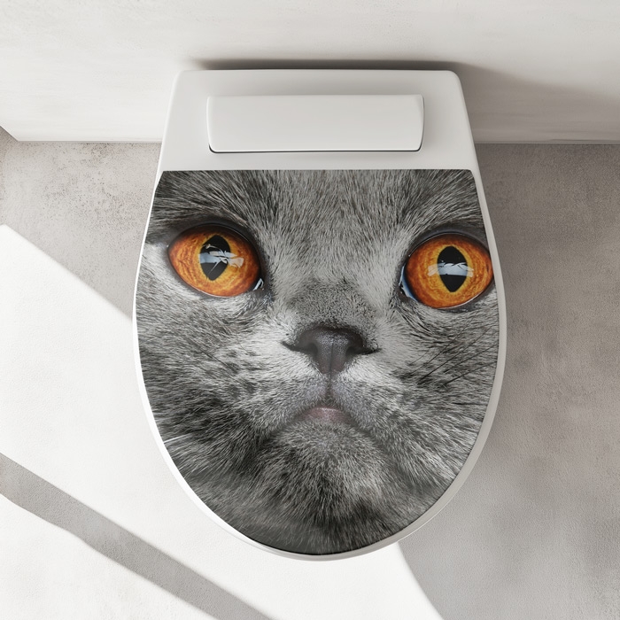 WC-Deckel Aufkleber graue Katze mit orangenen Augen Artikelbild 1