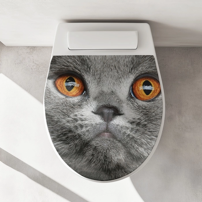 WC-Deckel Aufkleber graue Katze mit orangenen Augen Artikelbild 1