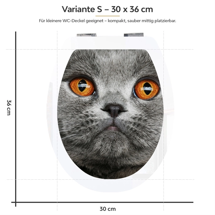 WC-Deckel Aufkleber graue Katze mit orangenen Augen Variante 30 x 36 cm
