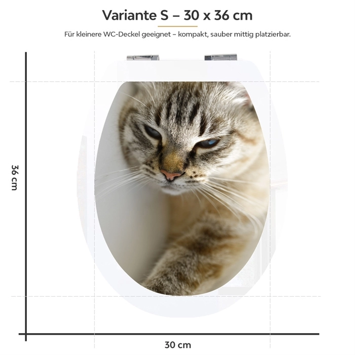 WC-Deckel Aufkleber Tabby Katze Variante 30 x 36 cm