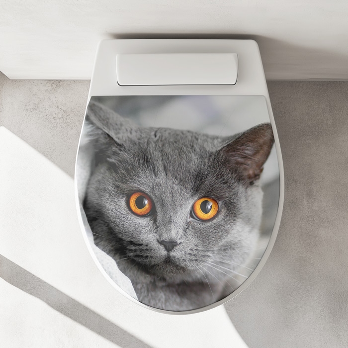 WC-Deckel Aufkleber britische Katze Artikelbild 1