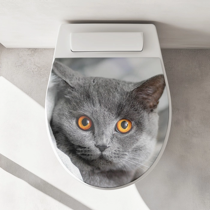 WC-Deckel Aufkleber britische Katze Artikelbild 1