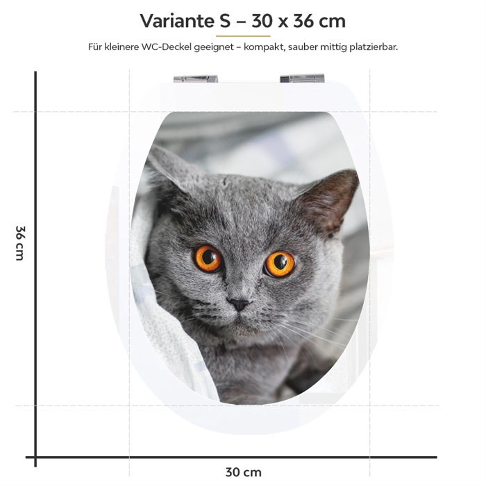 WC-Deckel Aufkleber britische Katze Variante 30 x 36 cm