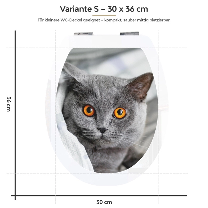 WC-Deckel Aufkleber britische Katze Variante 30 x 36 cm