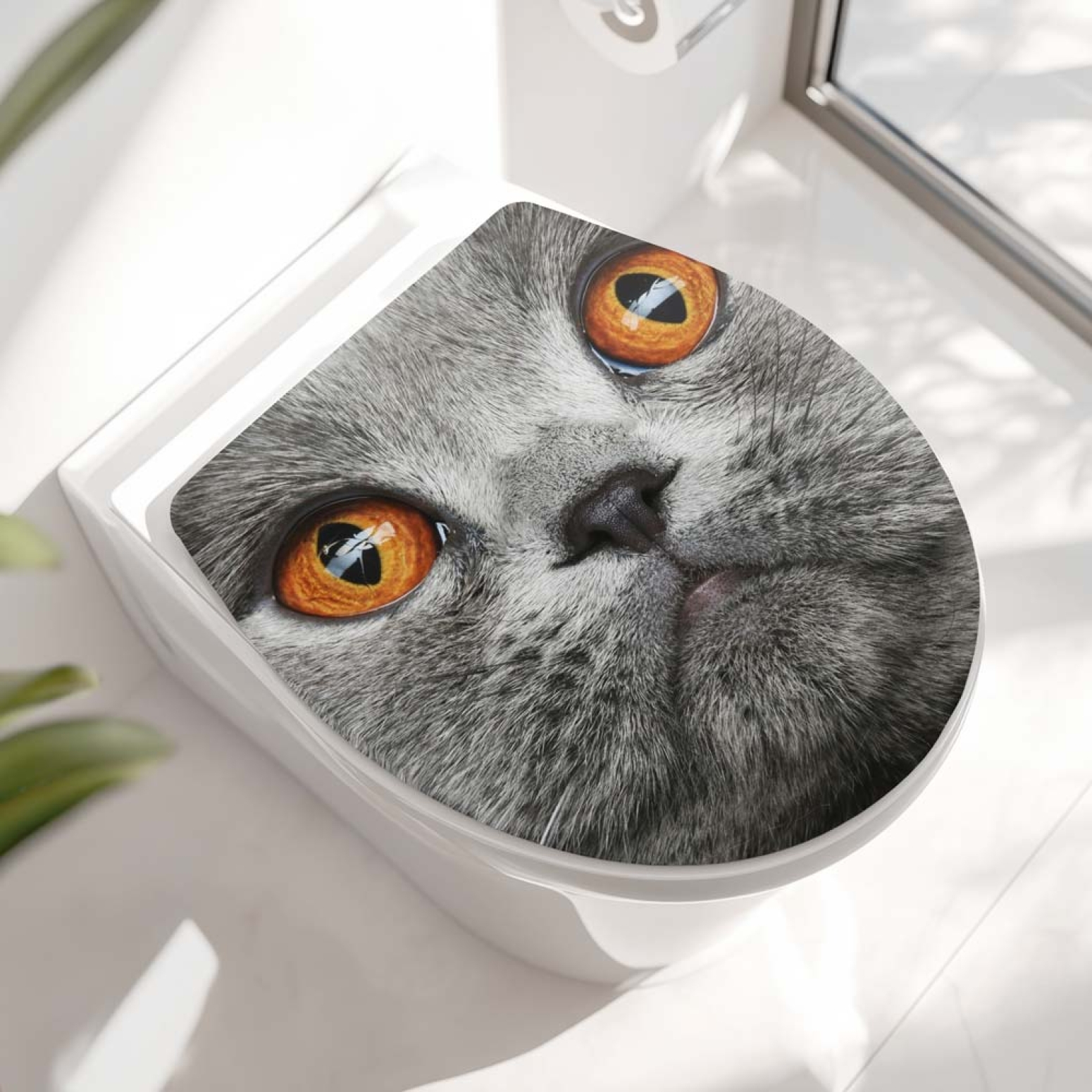 Wc-Deckel Aufkleber graue Katze mit orangenen Augen
