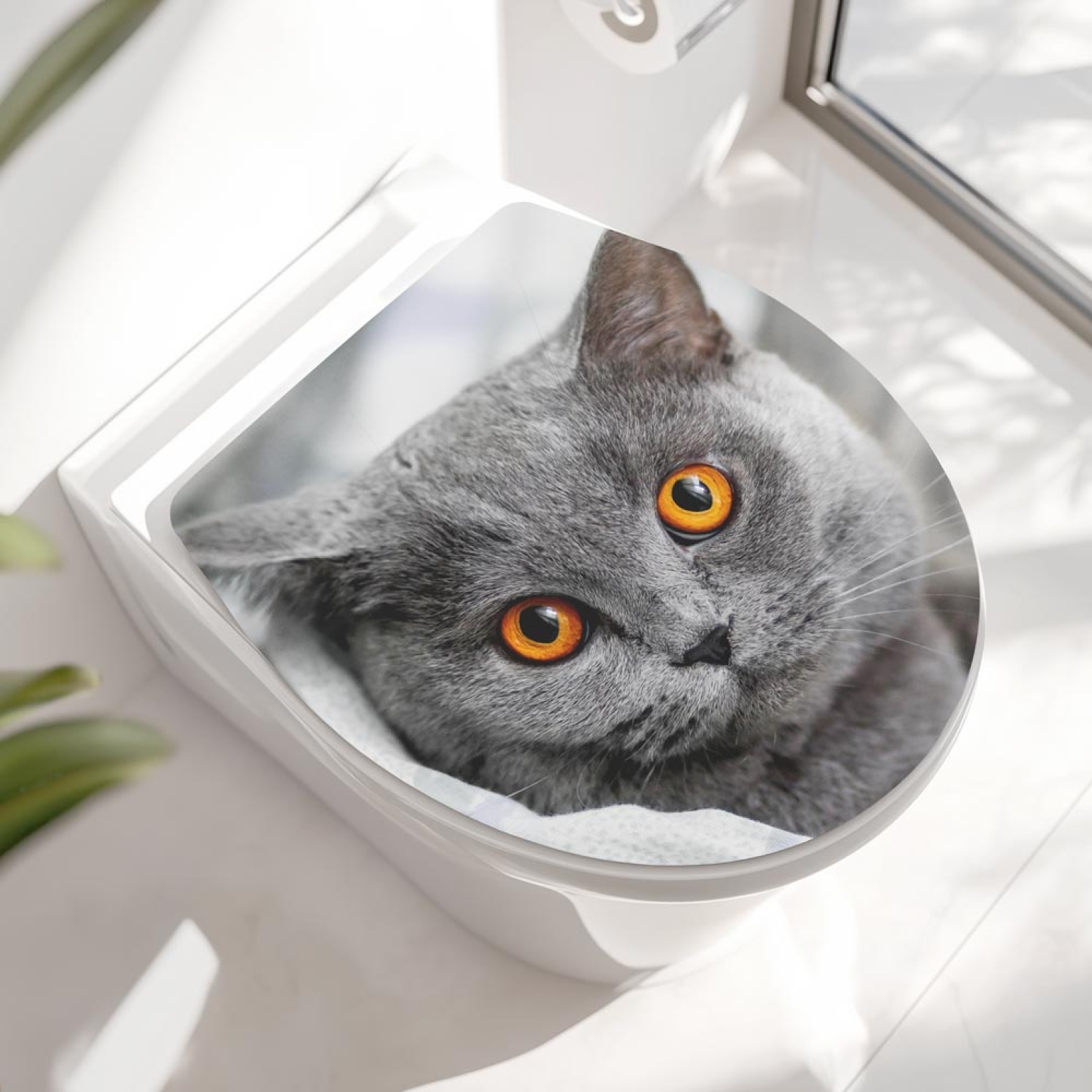Wc-Deckel Aufkleber britische Katze