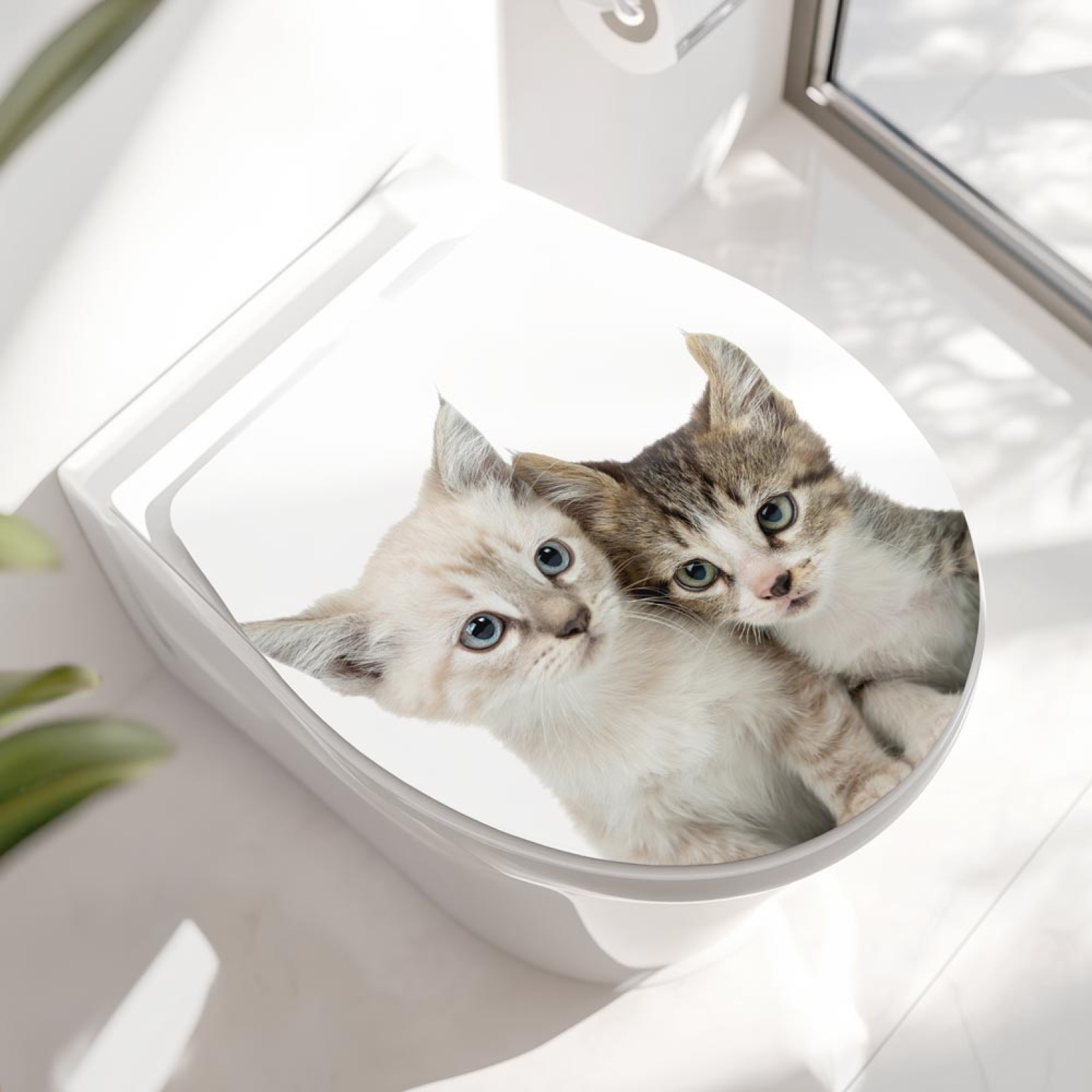 Wc-Deckel Aufkleber Kittys