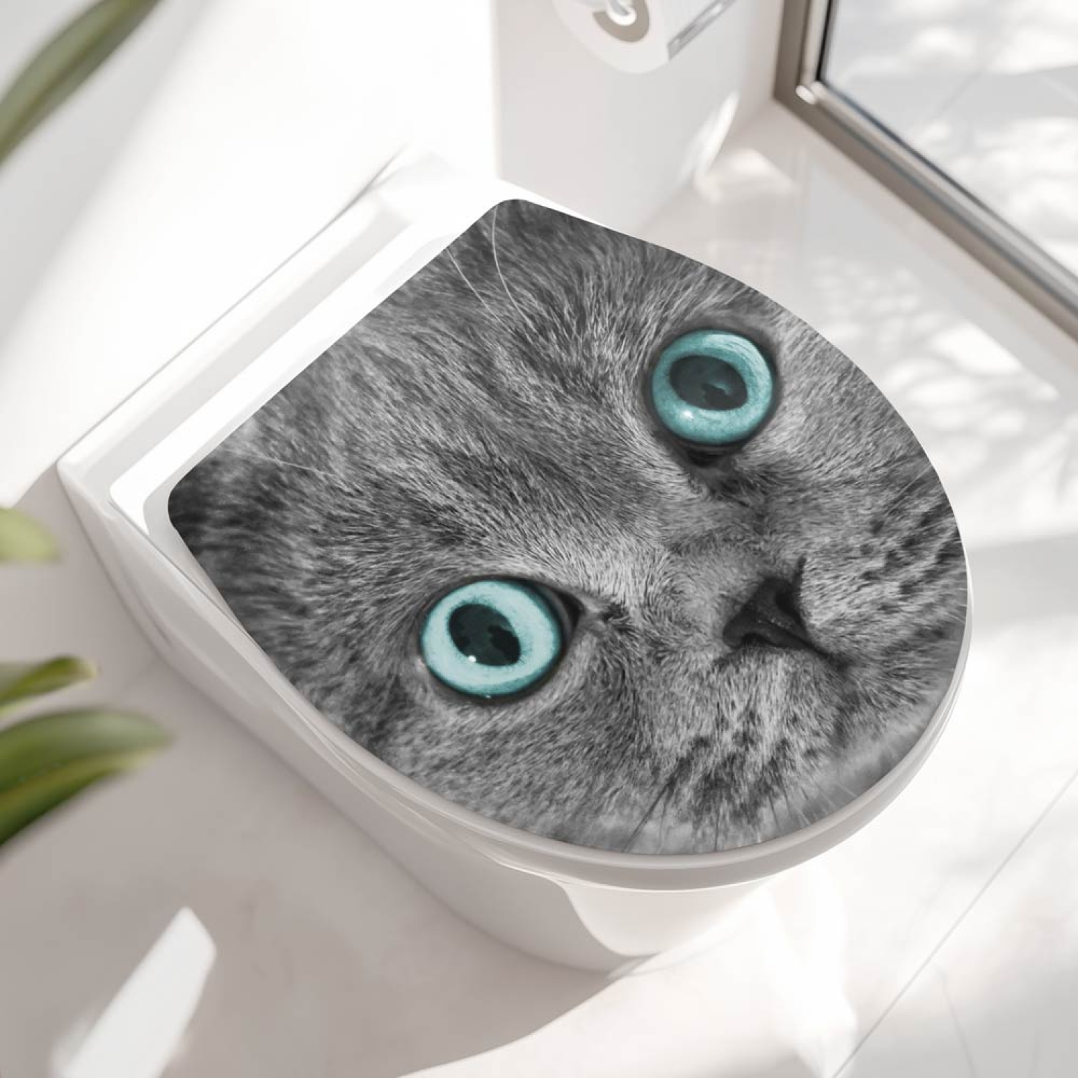 Wc-Deckel Aufkleber graue Katze mit blauen Augen