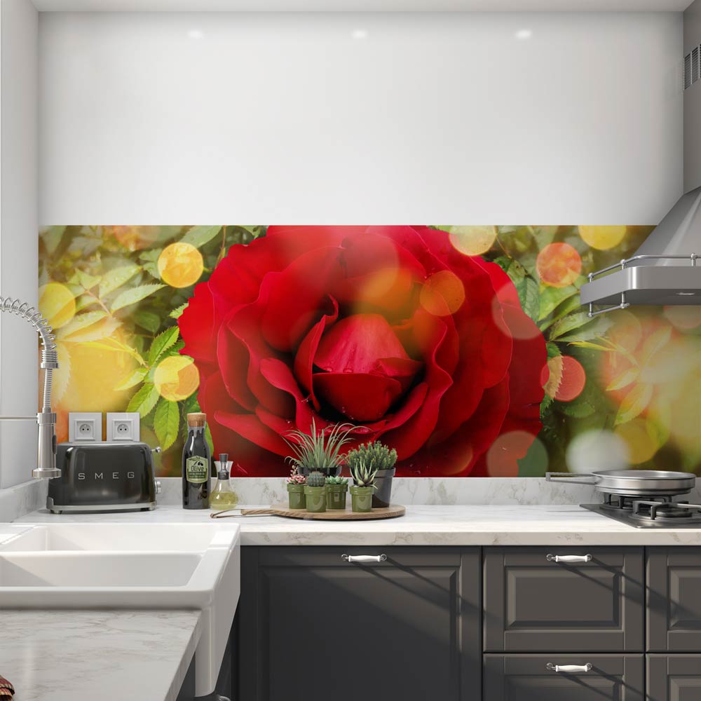 Küchenrückwand Folie rote Rose  Klebefolien & Küchenrückwand Folien