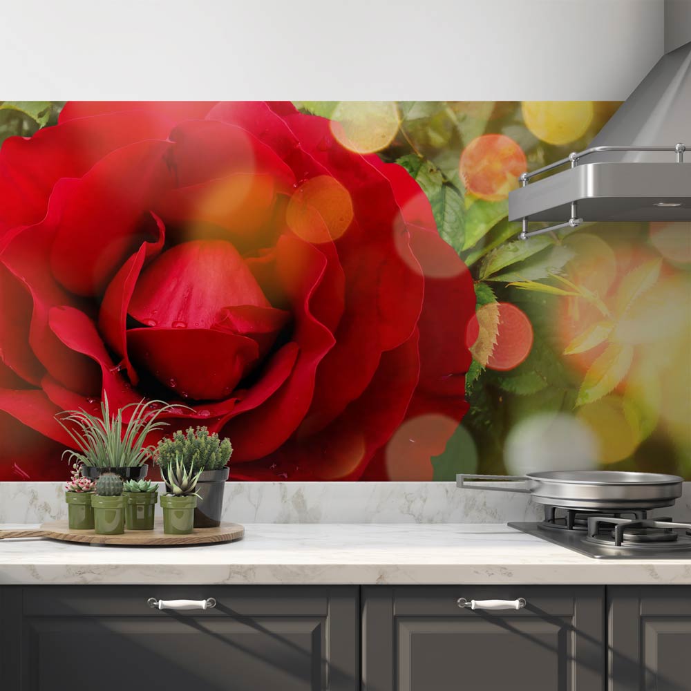 Küchenrückwand Folie rote Rose  Klebefolien & Küchenrückwand Folien