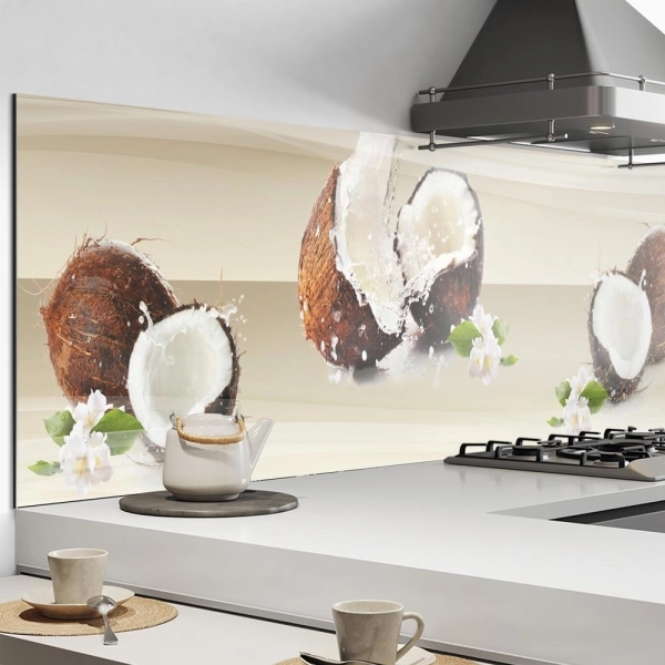 Küchenrückwand Aluverbund Kokosnüsse Bild 1