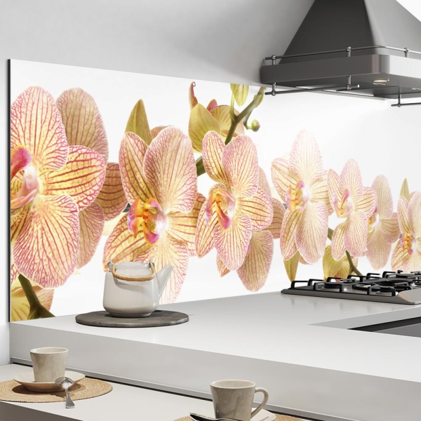 Küchenrückwand Aluverbund Orchideenstrauss Bild 1
