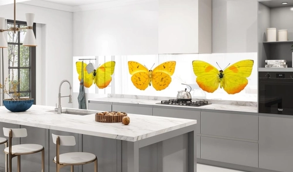 Küchenrückwand Aluverbund Schmetterling gelb Bild 3