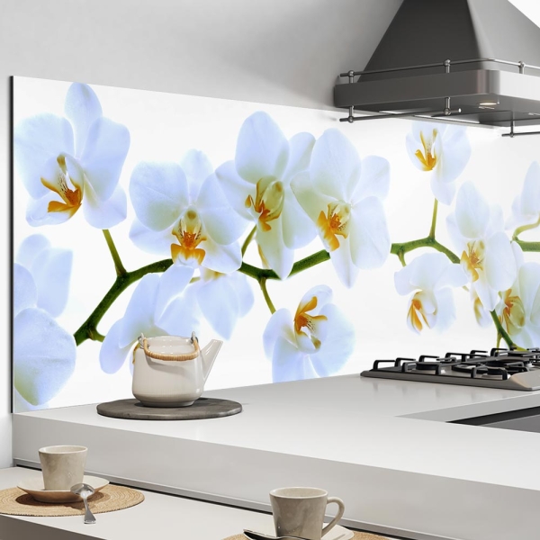 Küchenrückwand Aluverbund weisse Orchideen Bild 1