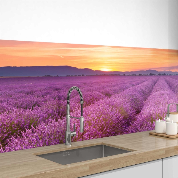 Küchenrückwand Folie Lavendelfelder Bild 1