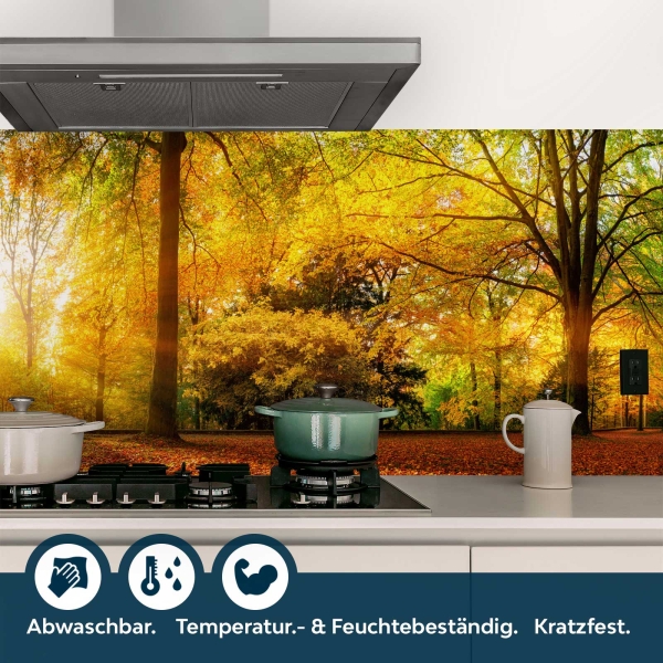 Küchenrückwand Folie Herbstwald Bild 4