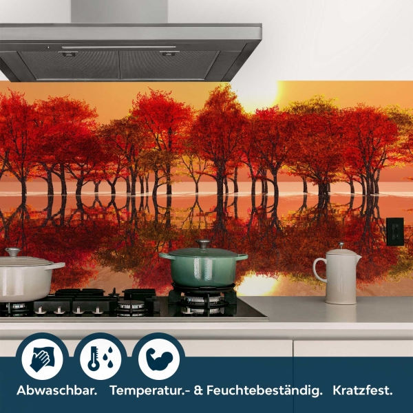 Küchenrückwand Folie Herbstwald Bild 4